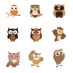 color owl vector 1