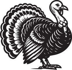 Black and White Turkey Bird Vector Illustration