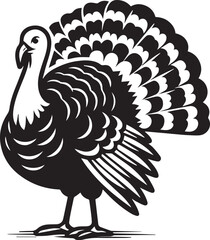 Black and White Turkey Bird Vector Illustration