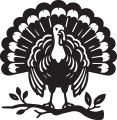 Black and White Turkey Bird Vector Illustration