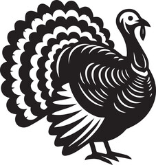 Black and White Turkey Bird Vector Illustration