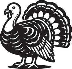 Black and White Turkey Bird Vector Illustration