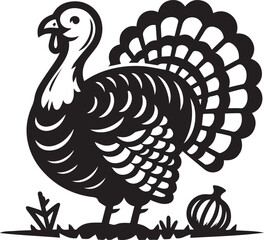Black and White Turkey Bird Vector Illustration