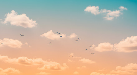 Pastel Sky, Flock of Birds, Soft Cloudscape at Sunset