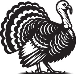 Black and White Turkey Bird Vector Illustration