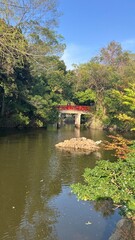美しい神池と赤い橋