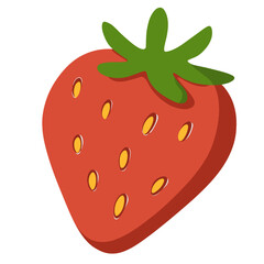flat fruit illustration 