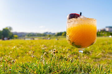 Zebra striping and damp drinking. Fruits cocktail and summer drink