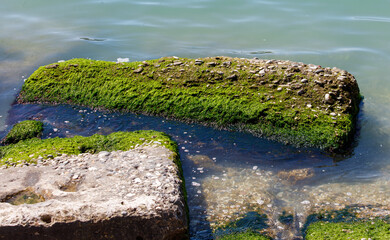 A rock covered in green moss sits in a body of water