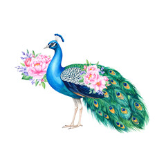 Obraz premium A stunning close-up of a vibrant blue peacock's head and green feather displaying its wild beauty and colorful plumage in a bright animal park