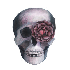 Scull with roses in the eye gothic magical texture isolated on white background. Watercolor hand drawn esoterics skull illustration. Art for design mystical halloween witch decoration, scary card