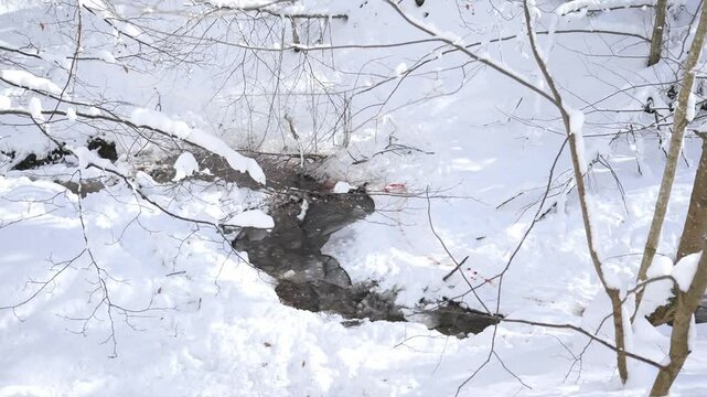 Winter tranquility in Goc Serbia with flowing creek and snow-covered landscape