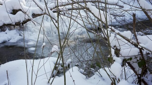 Winter landscape in Goc Serbia featuring snow-covered trees and a flowing stream