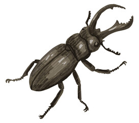 手描きのクワガタのベクターイラスト