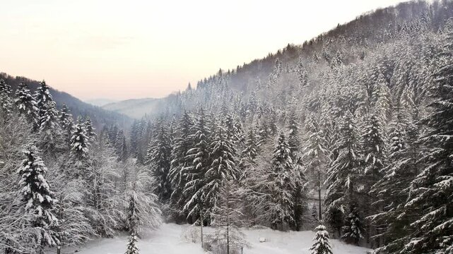 Winter landscape in Goc Serbia showcasing snow-covered trees and serene beauty at dawn