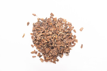 ［野菜の種］春菊