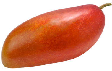 Ripe Red mango, Mangifera Indica a tropical fruit with a sweet taste and a sweet smellon isolate on white background with clipping path,Taiwan Red Mango PNG File.