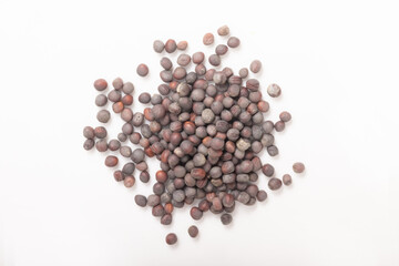 ［野菜の種］小松菜