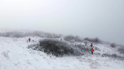 Hikers navigate the snowy landscape of Irig, Serbia as they search for a missing pet