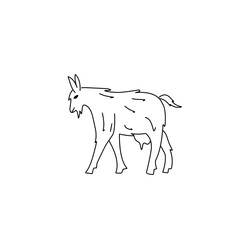 goat outline sketch