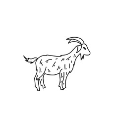 goat outline sketch