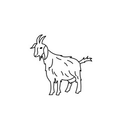 goat outline sketch