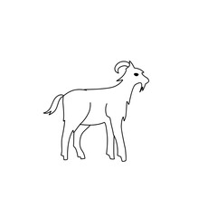 goat outline sketch