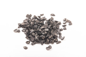 ［野菜の種］九条ネギ