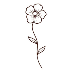 Wildflower Outline Illustration