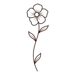 Wildflower Outline Illustration
