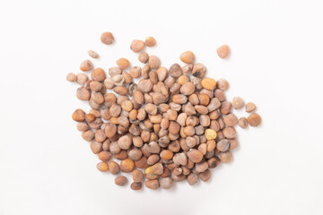 ［野菜の種］赤丸はつか大根