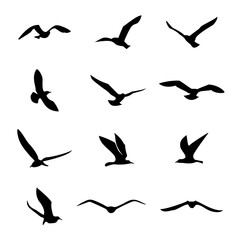 vector seagull sea gull seabird flying black silhouettes
