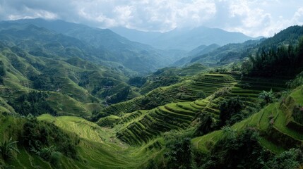 Terraced rice paddies in mountain valley