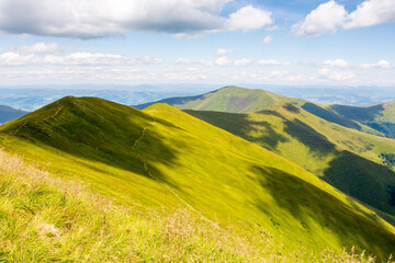 scenery of borzhava ridge in summer. outdoor adventure. alpine landscape of carpathian mountain range on a sunny day. grassy meadows and rolling hills. travel ukraine. beautiful view