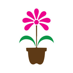 pink flower in a pot vector