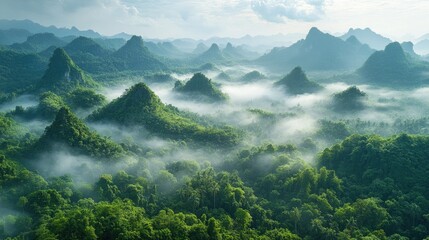 Obraz premium Misty mountain landscape, aerial view, lush forest, sunrise