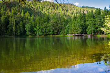 landscape with lake and coniferous forest. synevyr national park in the afternoon. carpathian mountains in summer. wonderful scenery reflecting in the calm water. tranquil recreation
