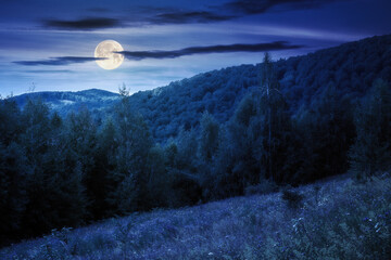 landscape with forest on the hill in summer at night. natural background for outdoor adventure and travel. picturesque carpathian woods in full moon light