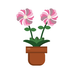 pink flower in pot icon vector