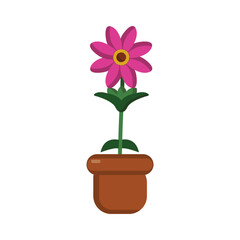 pink flower in pot vector