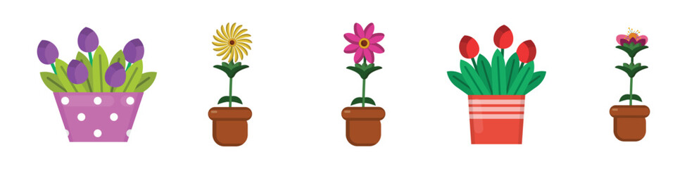 Vector illustration of a plant pot icon. House plant pot icon