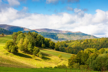 scenery with trees on the hill in dappled light. forested mountain landscape in autumn season. majestic borzhava ridge in the distance under cloudy sky