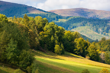 scenery with trees on the hill in dappled light. hilly volovets district of transcarpathia. gorgeous borzhava ridge in the distance under cloudy sky