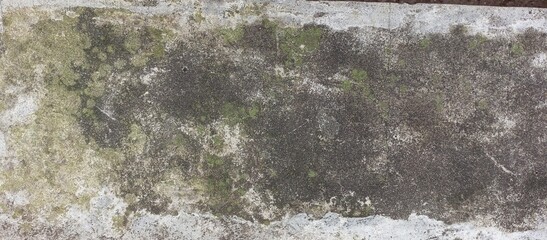 Mossy Concrete Surface with Weathered Texture