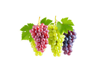 Fototapeta premium Single bunch of fresh red grapes with green leaves 