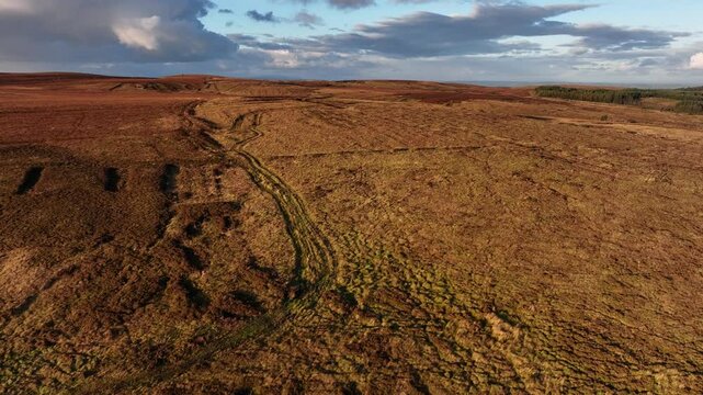 Bragan, County Monaghan, Ireland, September 2022. Drone pushes forwards over bog grasslands glowing orange from sunlight, with car tracks visible across the landscape.