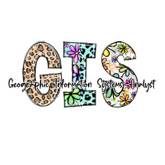 Colorful GIS Geographic Information Systems Analyst Design