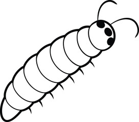 Centipede illustrations