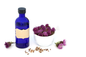Milk thistle herb alternative herbal medicine with seeds, flowers, blue tincture bottle and mortar on white background. Natural medical supplies. Marianum, silymarin.