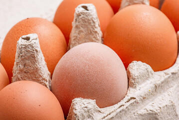 Eggs in a paper container macro photo.